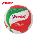 colorful volleyball